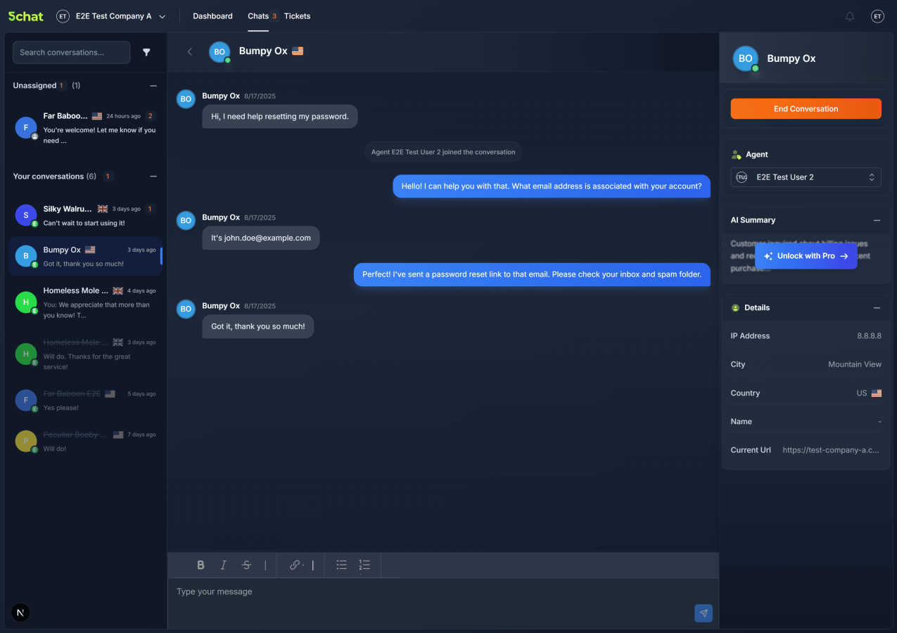 5chat interface and professional features