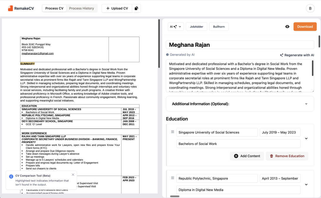 RemakeCV interface and professional features