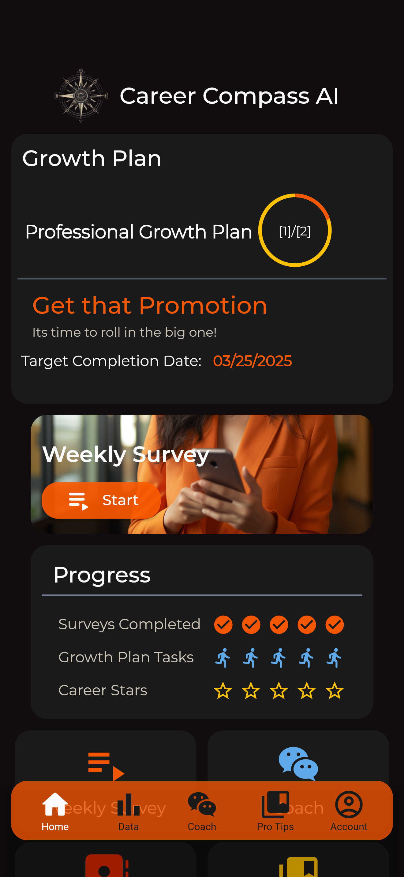 Career Compass AI interface and professional features