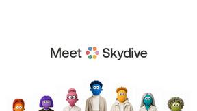 Skydive - product for AI Assistants
